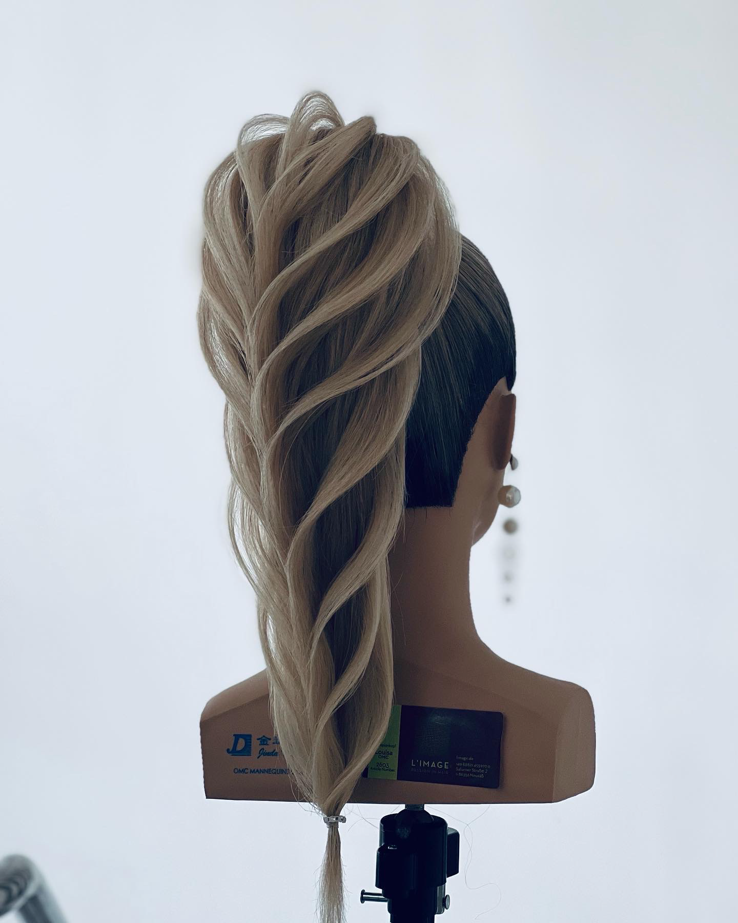 PDF Maria Maican_Page_01